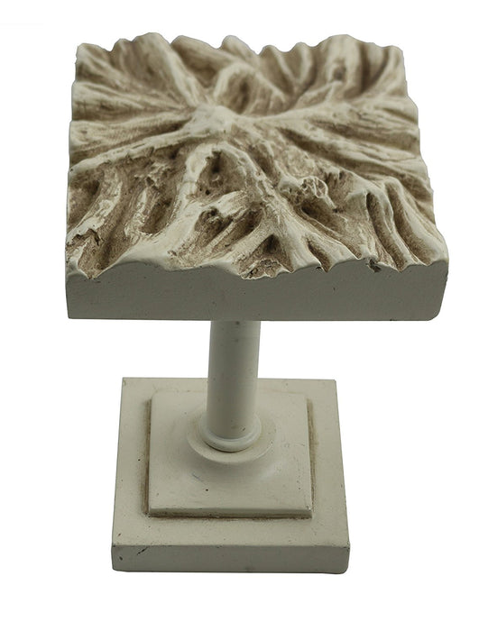 Root Medallion Drapery Holdback - 6 Finishes